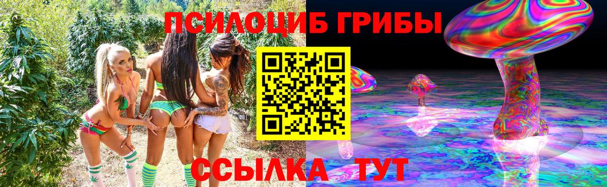 Псилоцибиновые грибы прущие грибы  Вход с VPN  Бирск 