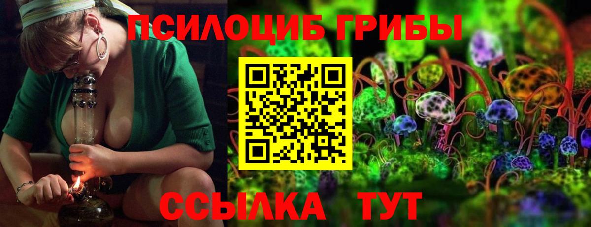 Галлюциногенные грибы GOLDEN TEACHER Бирск